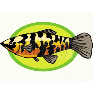 The clipart image features a stylized, colorful tropical fish with a pattern of black markings over a yellow and orange body, depicted against a green oval background.