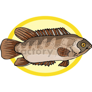 fish154