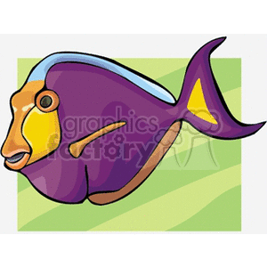 The image is a colorful clipart of a tropical fish. The fish features shades of purple and yellow with a cartoonish style, evoking the look of exotic fish species commonly found in tropical sea regions.