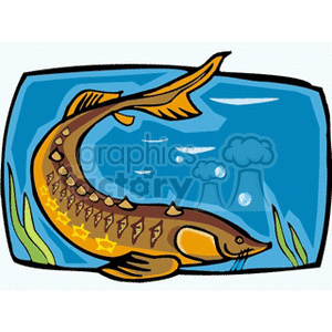 The image is a clipart illustration of a stylized fish resembling an eel or a barracuda, set against a blue water background with bubbles and green aquatic plants.