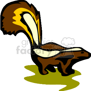This is an image of a clipart skunk. It features the skunk's distinctive raised tail, with the recognizable white stripe running along its back and tail, set against a contrasting body color, which appears to be black and brown. The skunk is standing on a green patch that could represent grass.