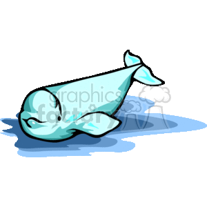 The clipart image depicts a stylized illustration of a baby beluga whale. The beluga is represented in a playful, cartoonish manner and appears to be laying on a patch of water, suggesting that it is in a swimming or resting pose. The light blue and white colors of the beluga, along with the simplified features, are typical of clipart designed for child-friendly applications such as educational materials, decorations, or digital media.