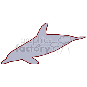 red and gray dolphin