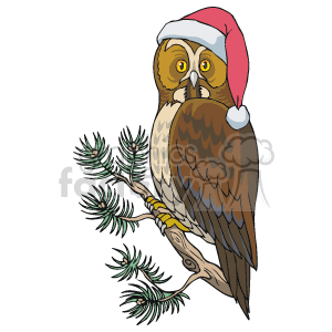 This clipart image features an owl perched on a pine tree branch. The owl is wearing a Santa hat, suggesting a Christmas or holiday theme.