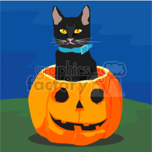 The clipart image features a black cat with yellow eyes and a blue collar sitting inside a carved pumpkin with a smiling jack-o'-lantern face. The scene is set against a blue background with a green surface beneath the pumpkin.