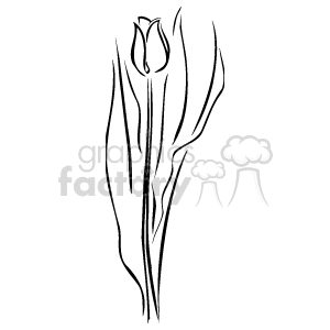 A simple line drawing sketch of a flower head on a stem, surrounded by several leaves to the side of it 