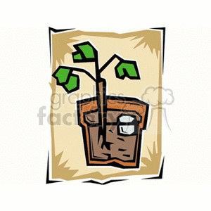This clipart image features a stylized illustration of a young plant, commonly referred to as a seedling or sprout, with a few leaves, growing in a pot, suggesting themes of gardening, planting, or the beginning stages of agriculture or horticulture.