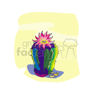 cactus8