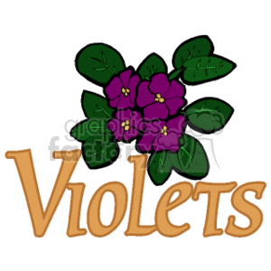 The clipart image depicts a stylized illustration of violet flowers. The flowers are purple with yellow centers and are surrounded by green leaves. Below the illustration, the word Violets is written in a decorative, golden font, suggesting the type of flowers illustrated.