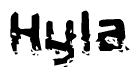 This nametag says Hyla, and has a static looking effect at the bottom of the words. The words are in a stylized font.