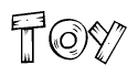 The image contains the name Toy written in a decorative, stylized font with a hand-drawn appearance. The lines are made up of what appears to be planks of wood, which are nailed together