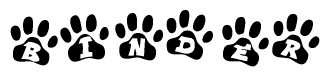 The image shows a series of animal paw prints arranged in a horizontal line. Each paw print contains a letter, and together they spell out the word Binder.