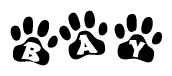 The image shows a series of animal paw prints arranged in a horizontal line. Each paw print contains a letter, and together they spell out the word Bay.