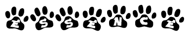 The image shows a series of animal paw prints arranged horizontally. Within each paw print, there's a letter; together they spell Essence