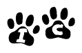 The image shows a series of animal paw prints arranged in a horizontal line. Each paw print contains a letter, and together they spell out the word Ic.