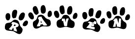 The image shows a series of animal paw prints arranged in a horizontal line. Each paw print contains a letter, and together they spell out the word Raven.