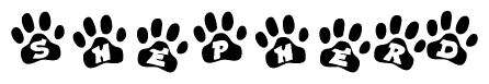 The image shows a row of animal paw prints, each containing a letter. The letters spell out the word Shepherd within the paw prints.