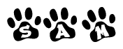 The image shows a series of animal paw prints arranged horizontally. Within each paw print, there's a letter; together they spell Sam