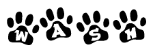 The image shows a series of animal paw prints arranged in a horizontal line. Each paw print contains a letter, and together they spell out the word Wash.