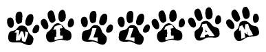 The image shows a series of animal paw prints arranged horizontally. Within each paw print, there's a letter; together they spell William