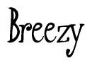 The image contains the word 'Breezy' written in a cursive, stylized font.