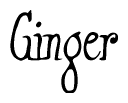 The image is of the word Ginger stylized in a cursive script.