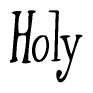 The image is of the word Holy stylized in a cursive script.