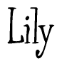 The image is a stylized text or script that reads 'Lily' in a cursive or calligraphic font.