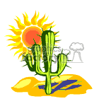 Animated cactus in  the desert sun