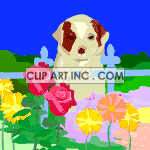 animated Saint Bernard puppy