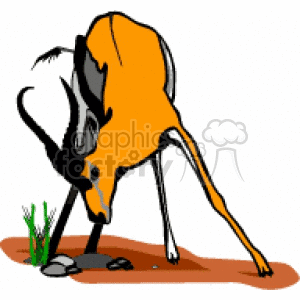 The image shows a stylized clipart depiction of an orange elk with large antlers, bending down to graze on some green plants. The background is simple and suggests a bare ground with a few rocks.
