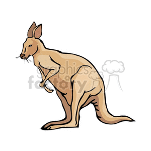 The image is a clipart illustration of a kangaroo. The kangaroo is depicted in a pose that suggests it may be ready to jump, with its powerful tail touching the ground to provide balance and support. It is a stylized representation commonly associated with Australia. 