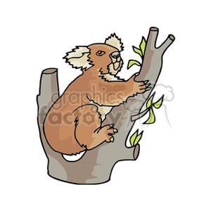 The clipart image depicts a koala climbing a tree branch. The koala is shown with its characteristic large ears and nose, and it appears to be in a typical climbing pose, with one arm extended upwards. The tree has a few leaves sprouting from the branches, suggesting a eucalyptus tree, which is the koala's primary food source.