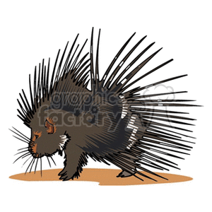 The image is a clipart of a small brown porcupine with prominent quills (or needles).