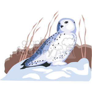 This clipart image depicts a snowy owl sitting on a snowy ground with some dry grass and rocks in the background, suggesting a winter scene.