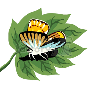 The clipart image features a stylized butterfly with its wings spread out, sitting on a green leaf. The butterfly has predominantly yellow and blue wing patterns with black and white accents.