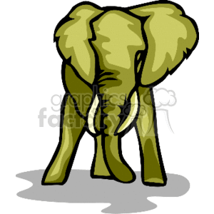 The image is a clipart of an elephant with a stylized appearance. The elephant is depicted in a forward-facing stance, with prominent tusks and a pair of large ears. Its skin is illustrated in shades of green and yellow, unlike the typical grey color of real elephants, likely for artistic effect. The elephant appears to be standing on a flat surface with a small grey shadow beneath it, suggesting that it is on a plain or solid ground. The image captures the animal's notable features such as its trunk, tusks, and large ears which are characteristic of African elephants.