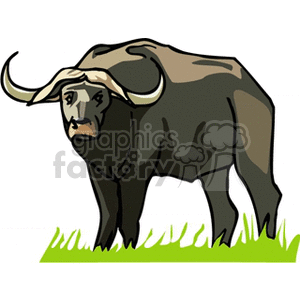 This clipart image features a stylized representation of a buffalo standing on a patch of grass. The animal is depicted with a large body, curved horns on the top of its head, and a dark brown coloration.
