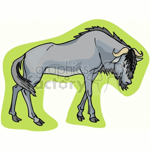 The clipart image depicts a stylized illustration of a wildebeest, also known as a gnu, which is a large hoofed mammal from Africa known for its annual migration in some regions.