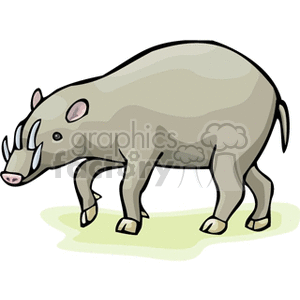 The clipart image shows a cartoon representation of a wild pig, also known as a boar. It has prominent tusks and a typical swine shape.