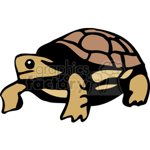 The clipart image contains a stylized representation of a tortoise. It could potentially be kept as a pet, similar to a box turtle which is often a term used for several species of land-dwelling turtles.