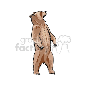 The image depicts a cartoon of a brown bear standing upright on its hind legs. The bear is illustrated with characteristics like a large body, rounded ears, and long claws, which are typical of a brown bear, sometimes referred to as a grizzly bear.