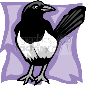 The image is a stylized clipart illustration of a magpie. The magpie appears in a profile view with distinguishing features such as its black and white plumage, and a long tail. The background consists of an abstract design that does not depict a specific setting. The magpie stands out as the central figure in this image.