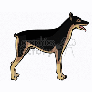 The clipart image depicts a stylized representation of a Doberman Pinscher, which is a breed of domestic dog known for its athletic build, characteristic black and tan or chocolate coat, and attentive expression.