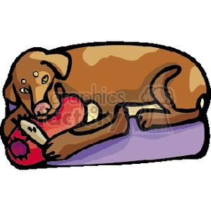 The image is a clipart of a brown dog lying down on a purple surface, holding a red toy with its paws. 