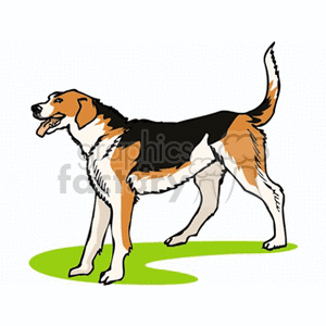 The clipart image features a cartoon of a dog standing on a green surface. The dog appears to be a medium to large breed with a tri-color coat, primarily in shades of white, black, and brown, and it's portrayed in a profile view with its tail up and mouth open, as if it might be mid-bark or panting.