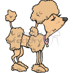 The clipart image features a stylized illustration of a poodle. The poodle is depicted with characteristic fluffy fur on its head, ears, legs, and tail tip. It has a proud and funny character-like stance with a collar and tag around its neck, suggesting it is a pet dog. The poodle seems to be groomed with the fur cut short on the body while left longer in the specific areas typical for the breed's show grooming style.