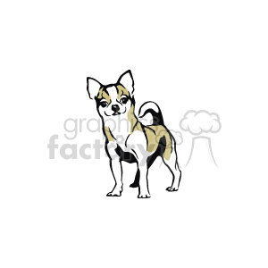 The clipart image shows a depiction of a Chihuahua, which is a breed of dog. The illustration highlights the typical physical traits of a Chihuahua, such as its small size, erect ears, and expressive eyes. It appears to be a stylized representation that captures the essence of the pet.