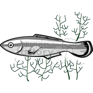 This image features a simplified graphic representation of a fish, possibly a minnow, swimming above aquatic plants that resemble corals or underwater vegetation. The fish has a prominent eye, gill slit, and a streamlined body typical of many freshwater species.