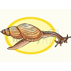 The image is a clipart illustration of a snail. There are no fish or multiple snails in this image, only a single snail.